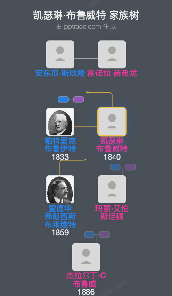 凯瑟琳·布鲁威特家族树全览