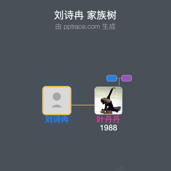 刘诗冉 家族树全览