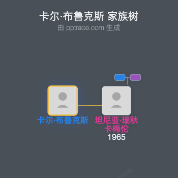 卡尔·布鲁克斯家族树全览