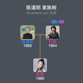 陈道明 家族树全览