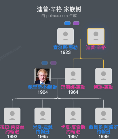 迪普·辛格家族树全览