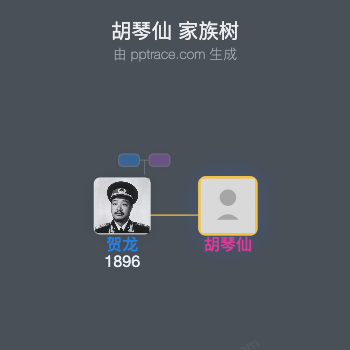 胡琴仙 家族树全览