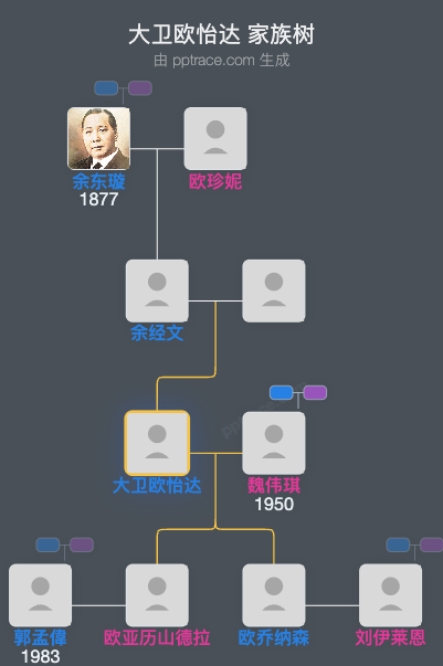 大卫欧怡达 家族树全览