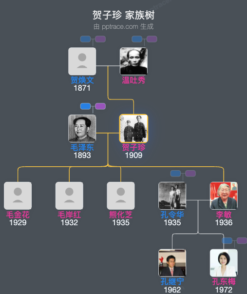 贺子珍 家族树全览