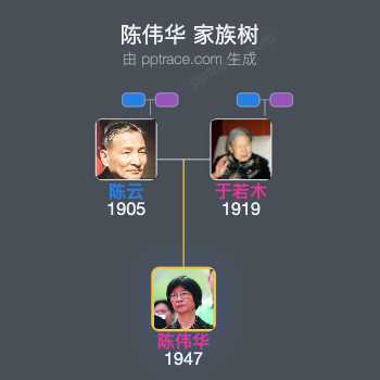 陈伟华 家族树全览