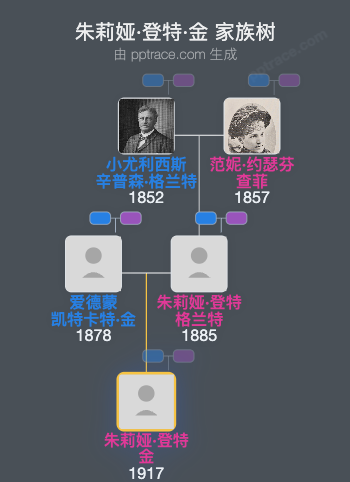 朱莉娅·登特·金家族树全览