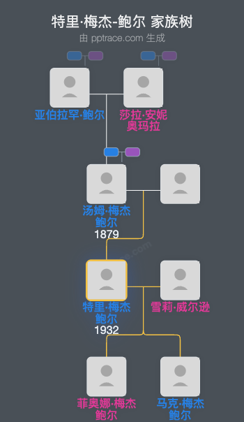 特里·梅杰-鲍尔家族树全览