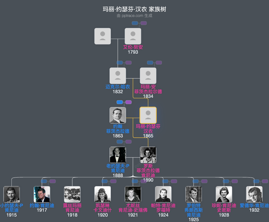 玛丽·约瑟芬·汉农家族树全览