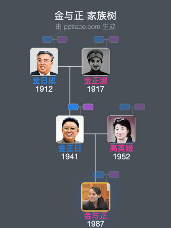 金与正 家族树全览