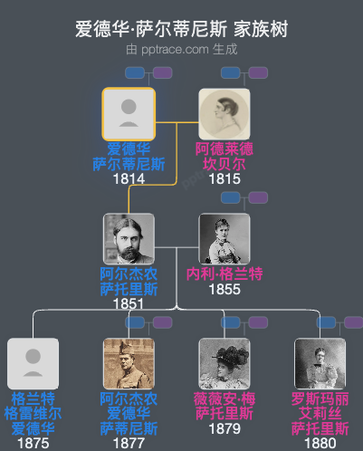爱德华·萨尔蒂尼斯家族树全览