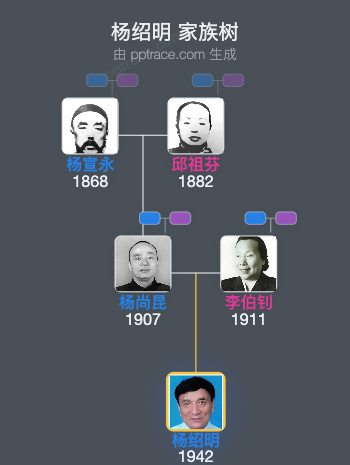 杨绍明 家族树全览
