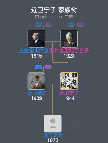 近卫宁子家族树全览