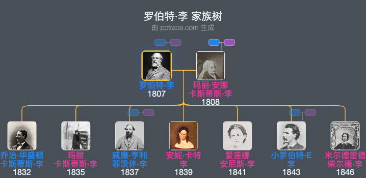 罗伯特·李家族树全览