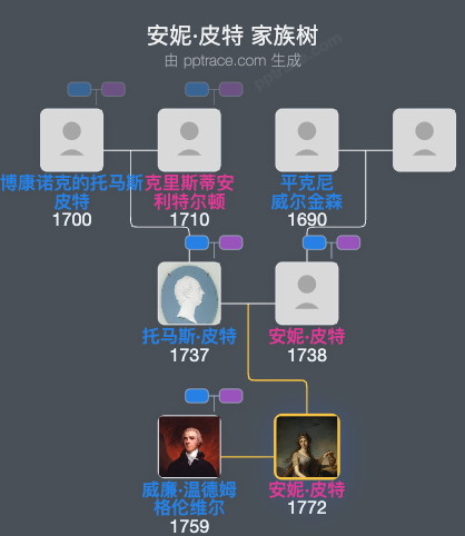 安妮·皮特家族树全览