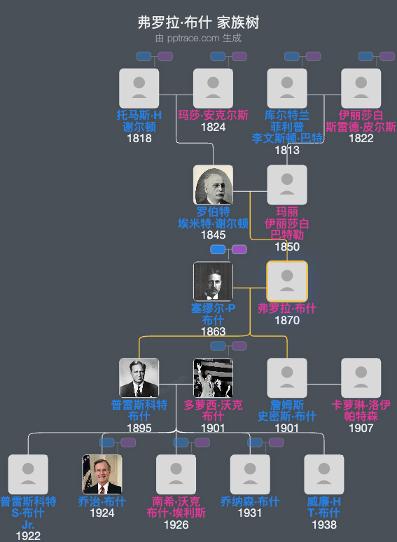 弗罗拉·布什家族树全览