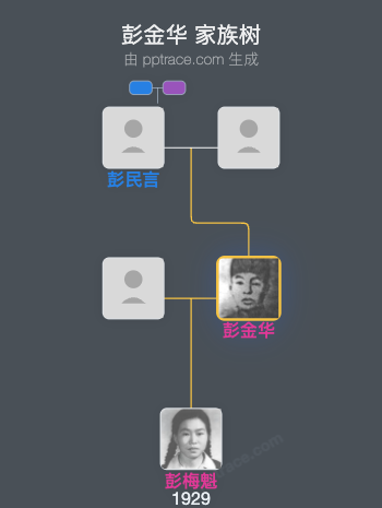 彭金华 家族树全览