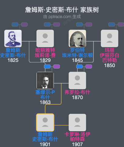 詹姆斯·史密斯·布什家族树全览