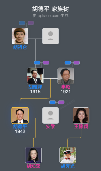 胡德平 家族树全览