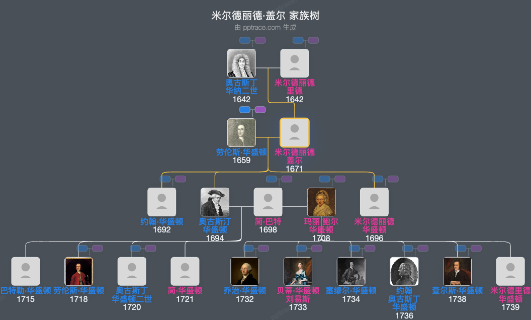 米尔德丽德·盖尔家族树全览
