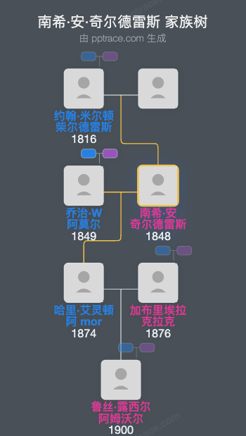 南希·安·奇尔德雷斯家族树全览