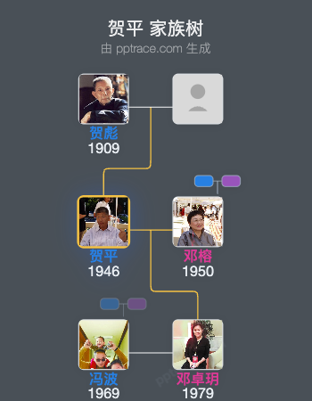 贺平 家族树全览