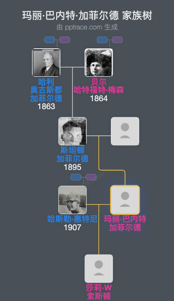 玛丽·巴内特·加菲尔德家族树全览