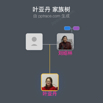 叶亚丹家族树全览