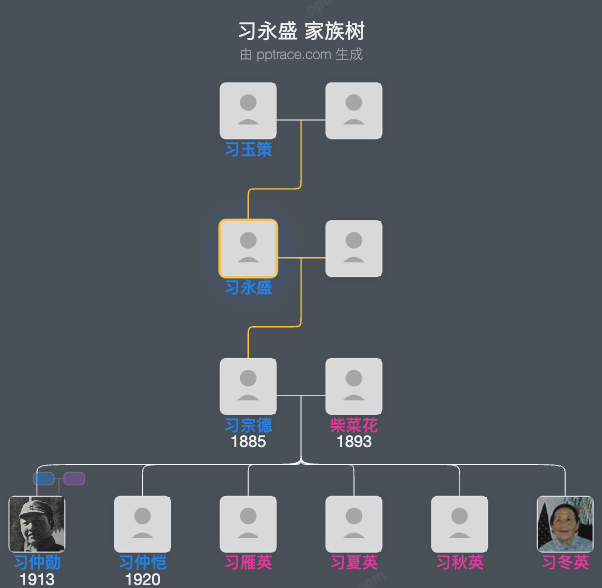 习永盛 家族树全览