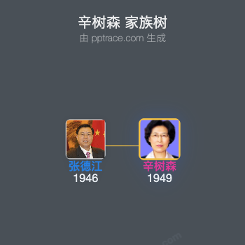 辛树森 家族树全览