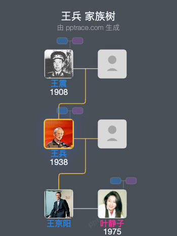 王兵 家族树全览