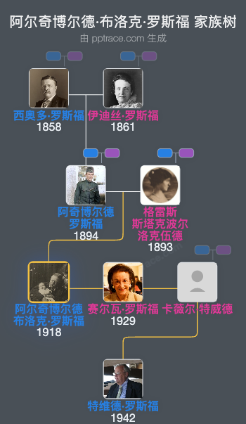 阿尔奇博尔德·布洛克·罗斯福家族树全览