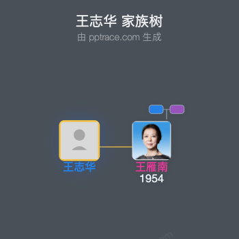 王志华 家族树全览