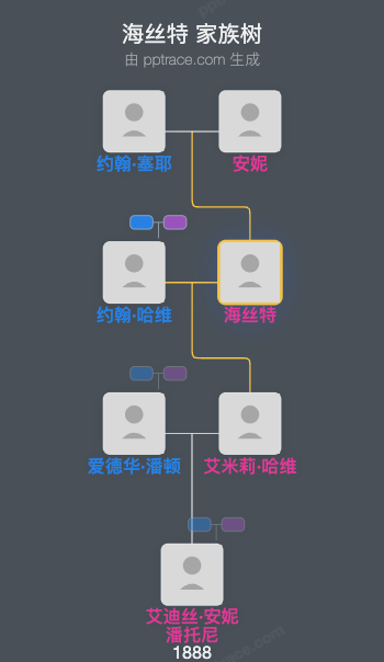 海丝特家族树全览