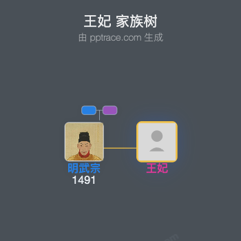 王妃家族树全览
