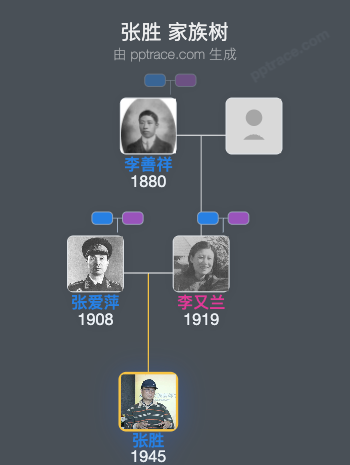 张胜 家族树全览