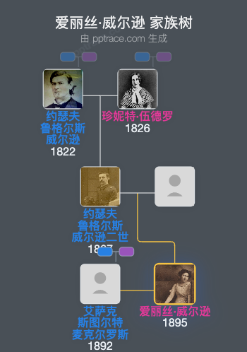 爱丽丝·威尔逊家族树全览