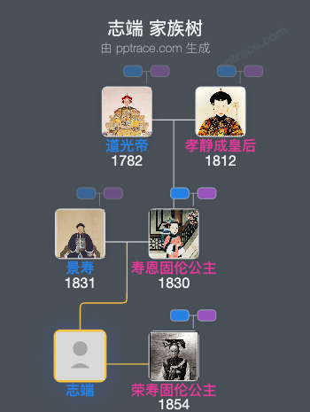 志端家族树全览