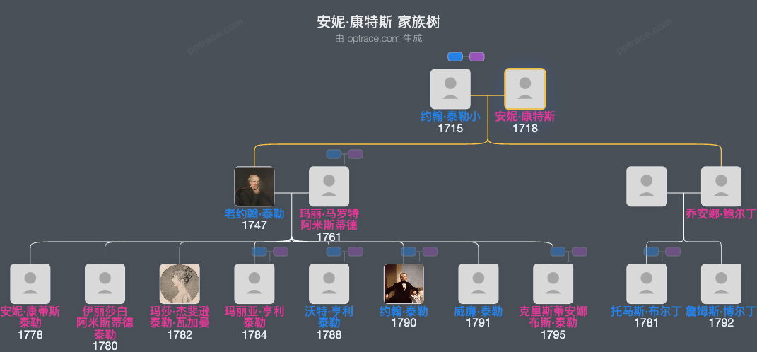 安妮·康特斯家族树全览