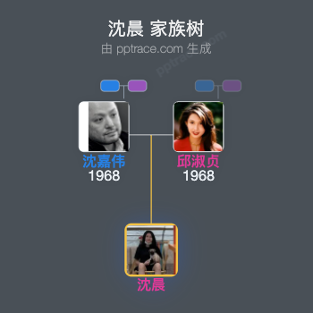 沈晨家族树全览