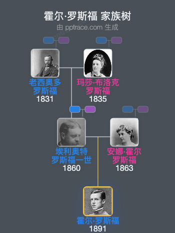霍尔·罗斯福家族树全览