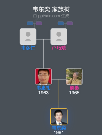 韦东奕家族树全览