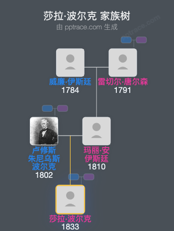 莎拉·波尔克家族树全览