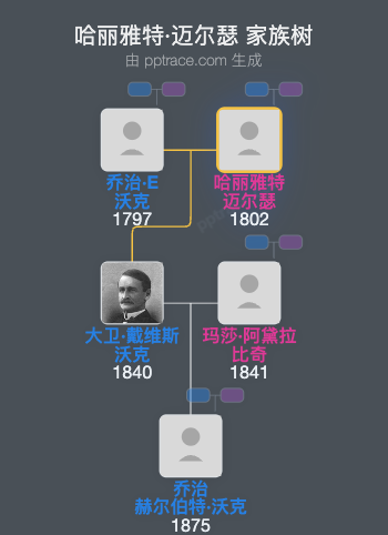 哈丽雅特·迈尔瑟家族树全览