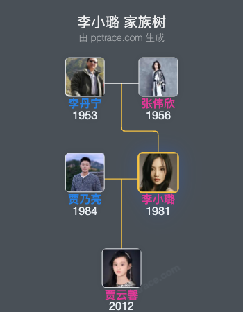 李小璐家族树全览