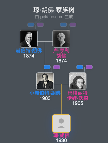 琼·胡佛家族树全览
