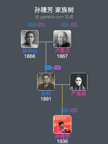 孙穗芳 家族树全览