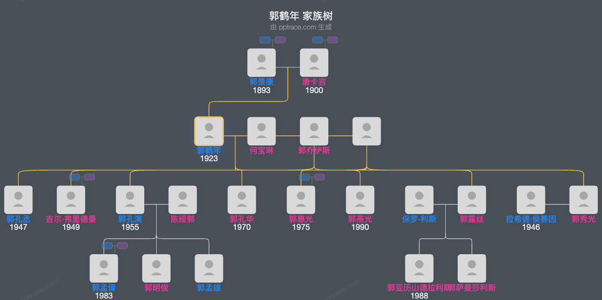 郭鹤年 家族树全览
