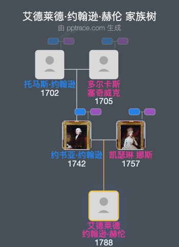 艾德莱德·约翰逊·赫伦家族树全览