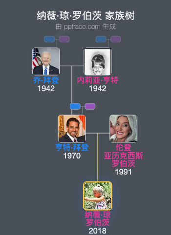 纳薇·琼·罗伯茨家族树全览