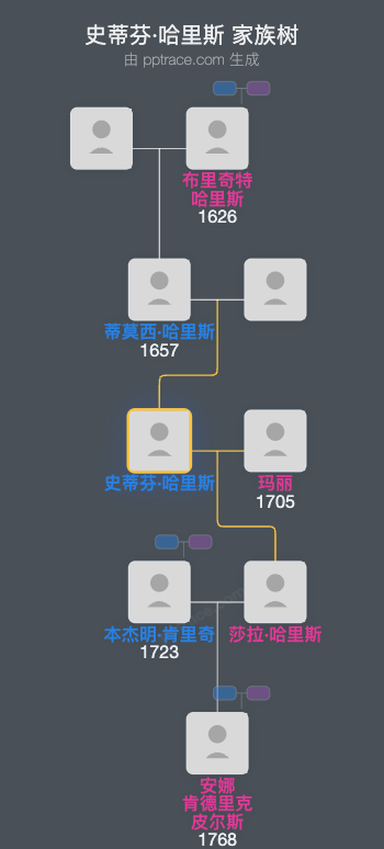 史蒂芬·哈里斯家族树全览